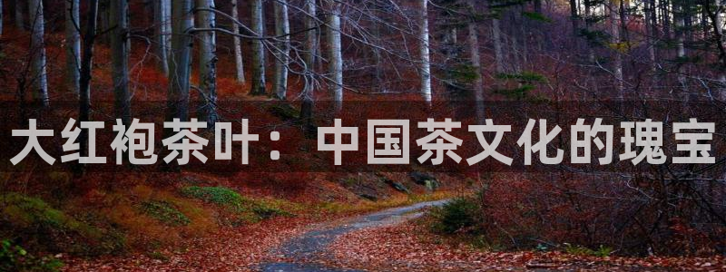 彩名堂客户端是永久免费吗安全吗是真的吗