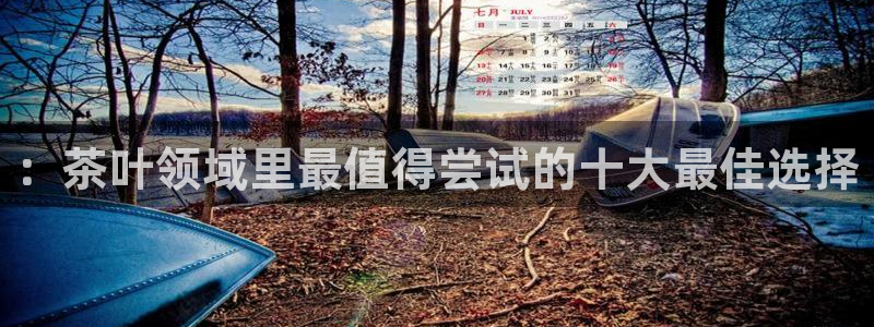彩名堂一直不出结果怎么回事
