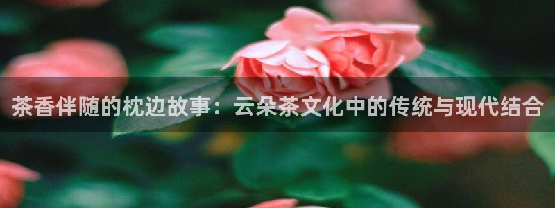 彩名堂移动客户端
