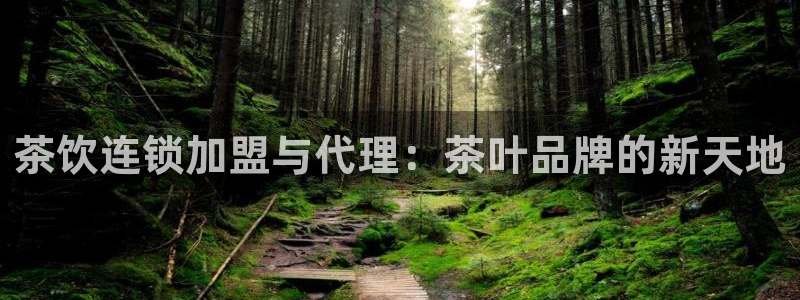 彩名堂预测免费计划怎么看的