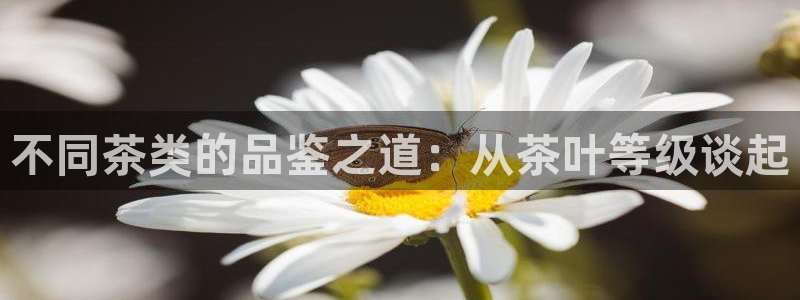 彩名堂免费计划官网5 0