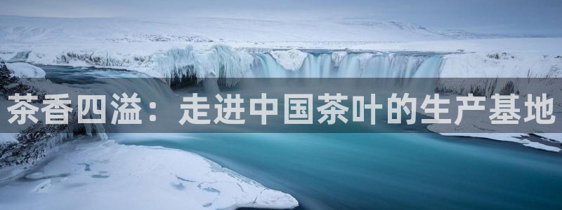 下载彩名堂预测计划软件安卓