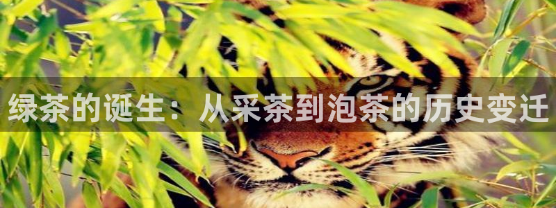 彩名堂是正规的公司吗