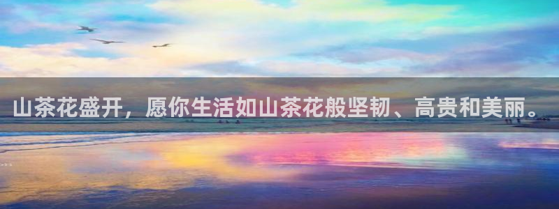 彩名堂免费计划5.0使用方法是什么
