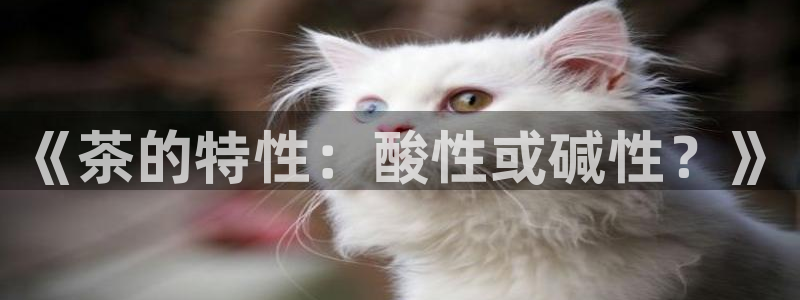 cmt彩名堂