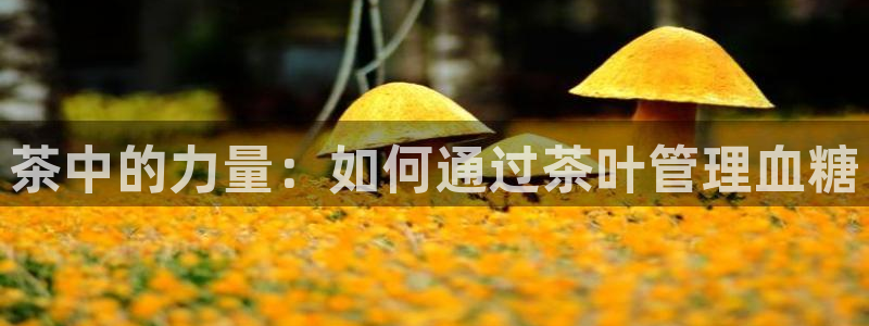 彩名堂客户端官网