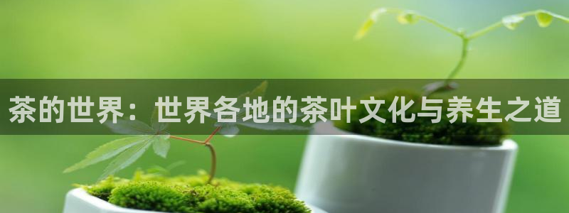 彩名堂双彩网
