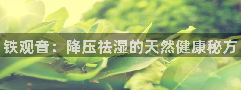 彩名堂app2.05版本
