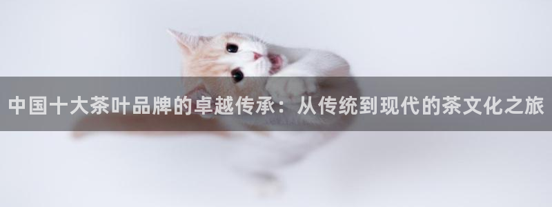 彩名堂app官方网址是多少