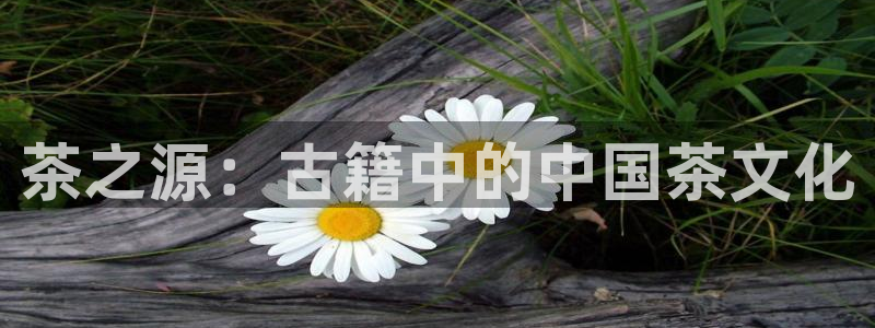 最新彩名堂计划