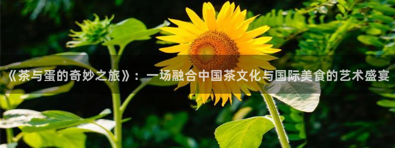 彩名堂975新版本