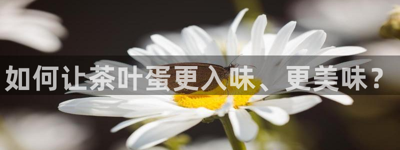 彩名堂免费计划客户端官网
