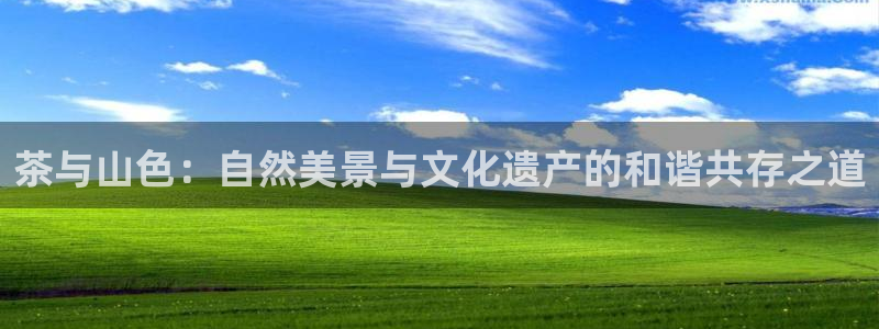 彩名堂为什么打不开