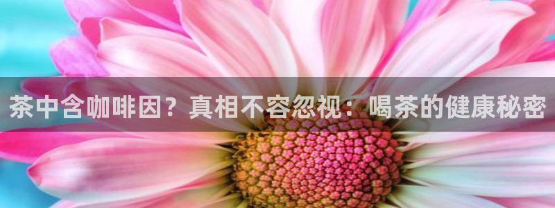 彩名堂网页