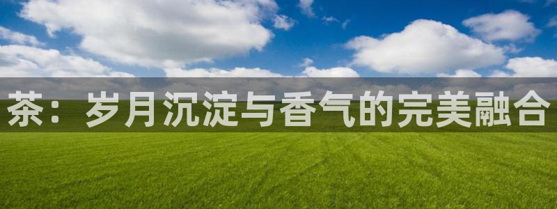 彩名堂上推荐的几个平台怎样