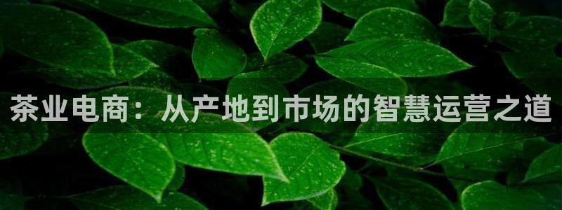 彩名堂二维码