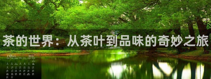 彩名堂排三