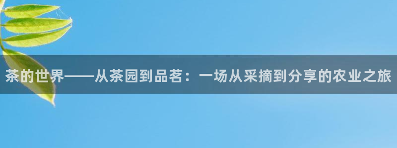 彩名堂怎么选稳定计划