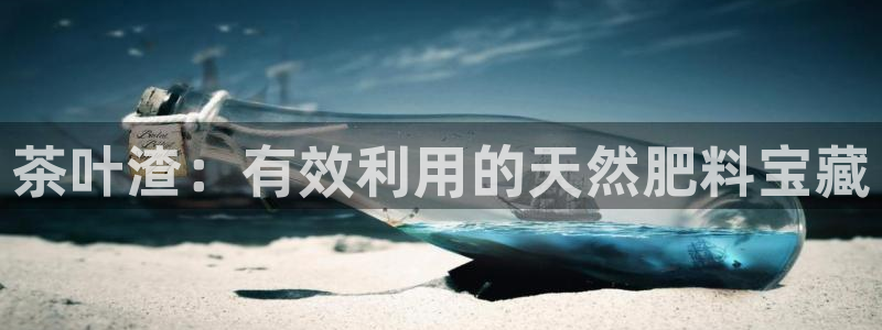 彩名堂为什么用不了了